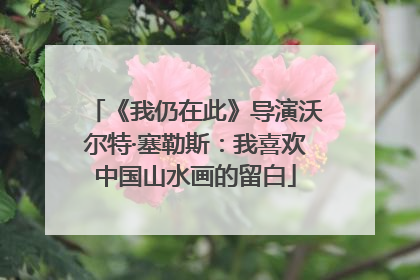 《我仍在此》导演沃尔特·塞勒斯：我喜欢中国山水画的留白