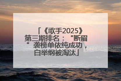 《歌手2025》第三期排名：“断眉”袭榜单依纯成功，白举纲被淘汰