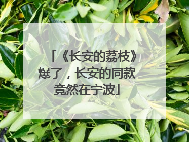 《长安的荔枝》爆了，长安的同款竟然在宁波