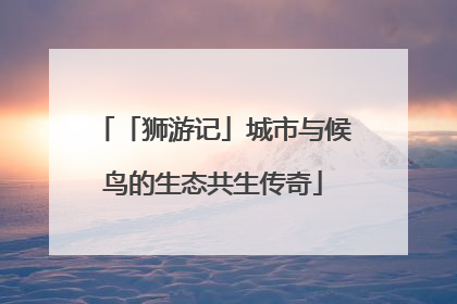 「狮游记」城市与候鸟的生态共生传奇