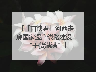 「甘快看」河西走廊国家遗产线路建设“干货满满”