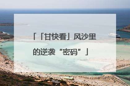 「甘快看」风沙里的逆袭“密码”