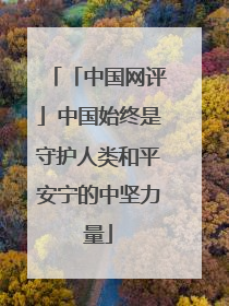 「中国网评」中国始终是守护人类和平安宁的中坚力量