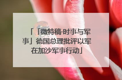 「微特稿·时事与军事」德国总理批评以军在加沙军事行动