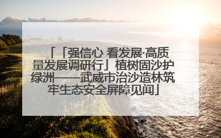「强信心 看发展·高质量发展调研行」植树固沙护绿洲——武威市治沙造林筑牢生态安全屏障见闻