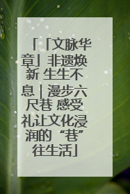 「文脉华章」非遗焕新 生生不息｜漫步六尺巷 感受礼让文化浸润的“巷”往生活