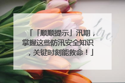 「顺顺提示」汛期，掌握这些防汛安全知识，关键时刻能救命！