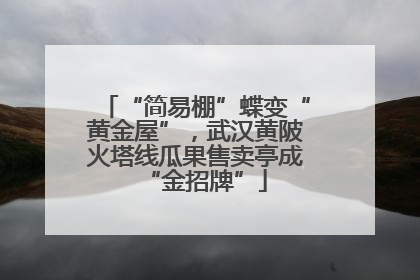 “简易棚”蝶变“黄金屋”，武汉黄陂火塔线瓜果售卖亭成“金招牌”