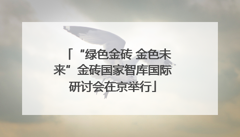 “绿色金砖 金色未来”金砖国家智库国际研讨会在京举行