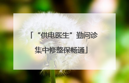“供电医生”勤问诊 集中修整保畅通