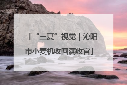 “三夏”视觉|沁阳市小麦机收圆满收官
