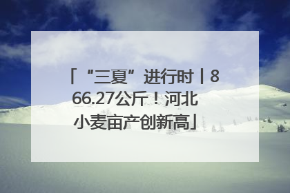 “三夏”进行时丨866.27公斤！河北小麦亩产创新高