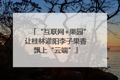 “互联网+果园”让桂林灌阳李子果香飘上“云端”