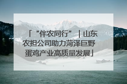 “伴农同行”｜山东农担公司助力菏泽巨野蛋鸡产业高质量发展