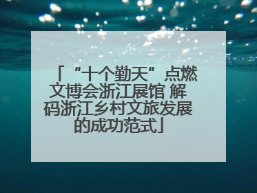 “十个勤天”点燃文博会浙江展馆 解码浙江乡村文旅发展的成功范式