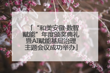 “和美安徽·数智赋能”年度颁奖典礼暨AI赋能基层治理主题会议成功举办