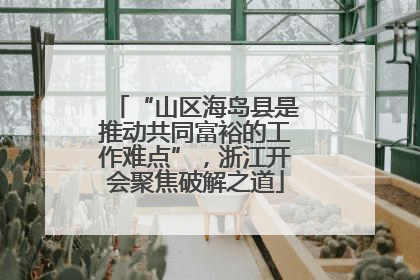 “山区海岛县是推动共同富裕的工作难点”，浙江开会聚焦破解之道