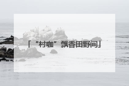 “村咖”飘香田野间