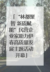 “林都聚智 新质赋能”民营企业家助力伊春高质量发展主题活动开幕