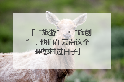 “旅游”→“旅创”，他们在云南这个理想村过日子