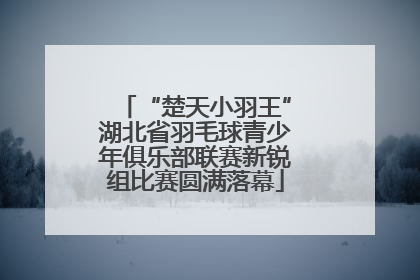 “楚天小羽王”湖北省羽毛球青少年俱乐部联赛新锐组比赛圆满落幕