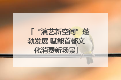 “演艺新空间”蓬勃发展 赋能首都文化消费新场景