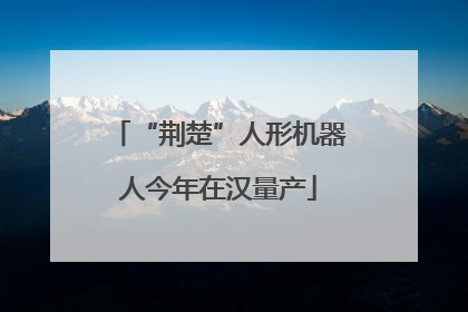 “荆楚”人形机器人今年在汉量产
