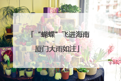 “蝴蝶”飞进海南 厦门大雨如注