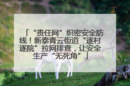 “责任网”织密安全防线！新泰青云街道“逐村逐院”拉网排查，让安全生产“无死角”