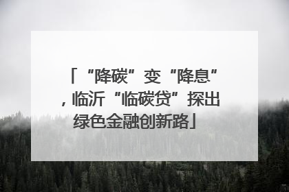 “降碳”变“降息”，临沂“临碳贷”探出绿色金融创新路