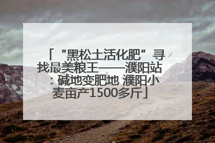 “黑松土活化肥”寻找最美粮王——濮阳站：碱地变肥地 濮阳小麦亩产1500多斤