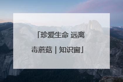 珍爱生命 远离毒蘑菇｜知识窗
