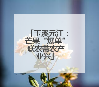 玉溪元江：芒果“爆单” 联农带农产业兴