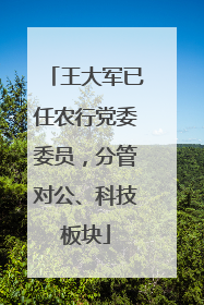 王大军已任农行党委委员，分管对公、科技板块