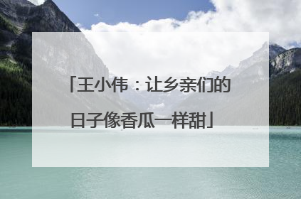 王小伟：让乡亲们的日子像香瓜一样甜