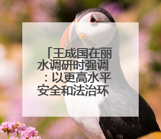 王成国在丽水调研时强调：以更高水平安全和法治环境服务保障山区海岛县高质量发展