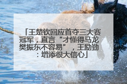 王楚钦回应首夺三大赛冠军，直言“才懂得马龙樊振东不容易”，王励勤：增添很大信心