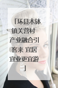 环县木钵镇关营村 产业融合引客来 宜居宜业更宜游
