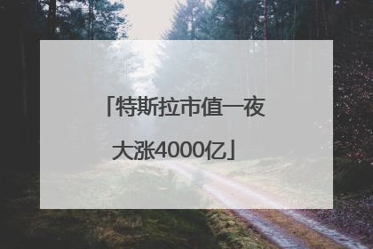 特斯拉市值一夜大涨4000亿