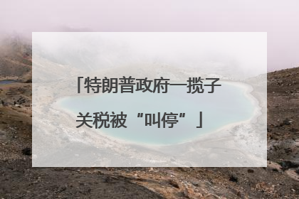 特朗普政府一揽子关税被“叫停”