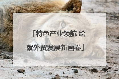 特色产业领航 绘就外贸发展新画卷