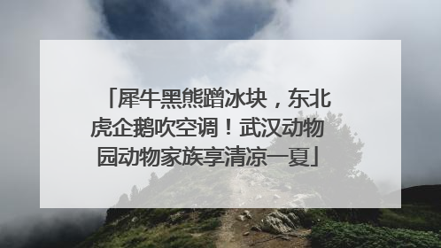 犀牛黑熊蹭冰块，东北虎企鹅吹空调！武汉动物园动物家族享清凉一夏