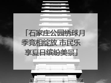 石家庄公园绣球月季竞相绽放 市民乐享夏日缤纷美景