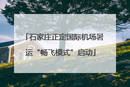 石家庄正定国际机场暑运“畅飞模式”启动