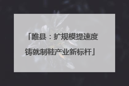 睢县：扩规模提速度 铸就制鞋产业新标杆