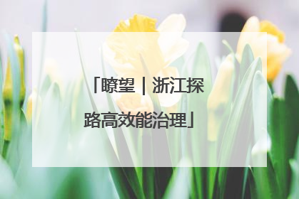 瞭望｜浙江探路高效能治理