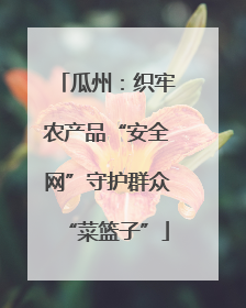 瓜州：织牢农产品“安全网”守护群众“菜篮子”