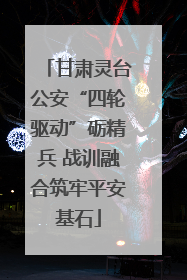 甘肃灵台公安“四轮驱动”砺精兵 战训融合筑牢平安基石