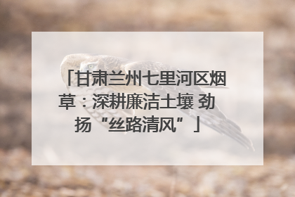 甘肃兰州七里河区烟草：深耕廉洁土壤 劲扬“丝路清风”