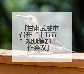 甘肃武威市召开“十五五”规划编制工作会议